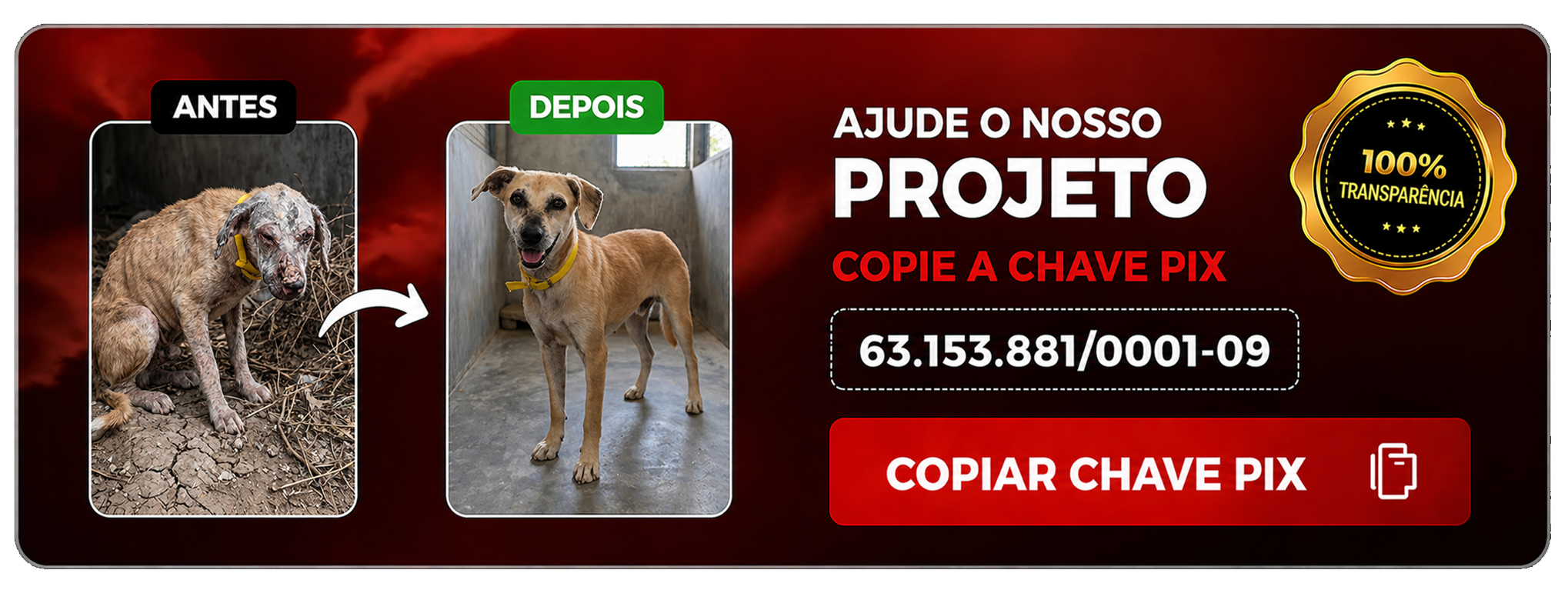 Clique para copiar a chave Pix